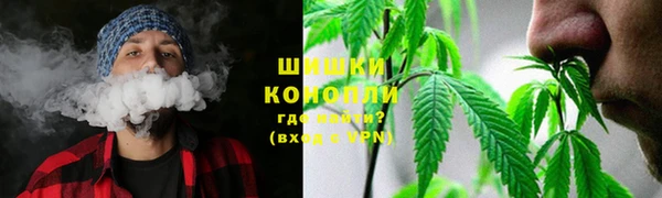 PSILOCYBIN Дмитров