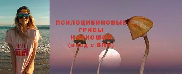 PSILOCYBIN Дмитров