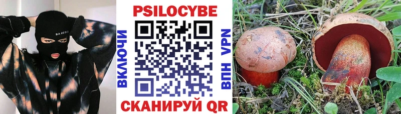 Галлюциногенные грибы Psilocybine cubensis  Купить закладки  Николаевск 
