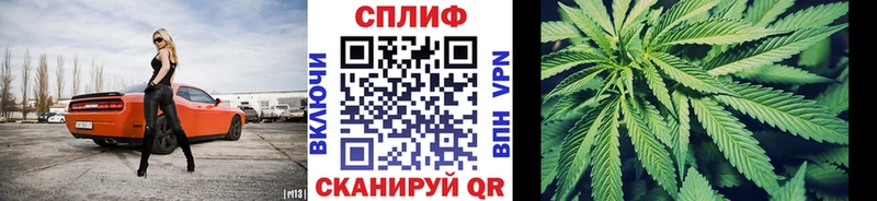Бошки марихуана THC 21%  Купить  Николаевск 